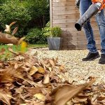 Lee más sobre el artículo Cómo hacer un soplador de hojas casero